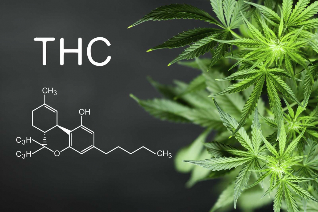thc učinki
