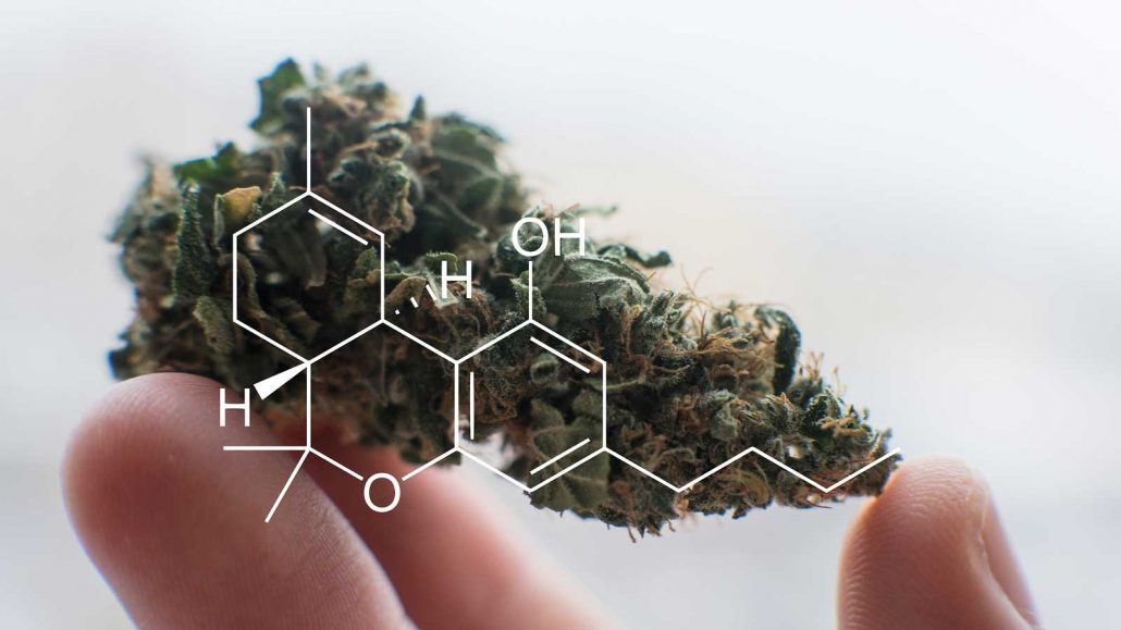 cbd za spanje